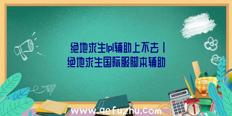 「绝地求生lpl辅助上不去」|绝地求生国际服脚本辅助